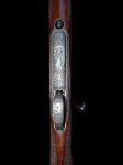 Sauer, fotka 2